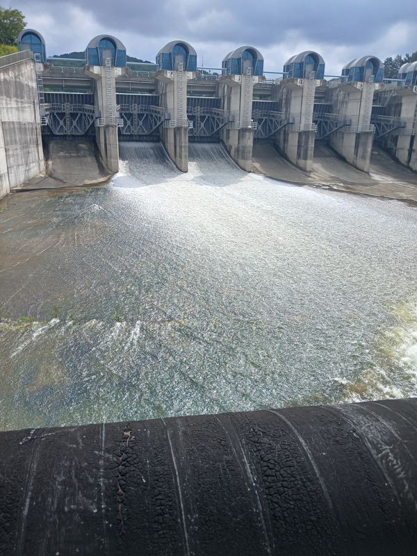 μ±μ΄λ©΄ ~ μ·¨μλ 516-31