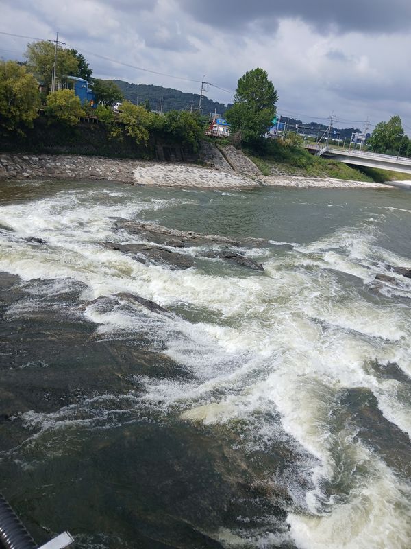 μ±μ΄λ©΄ ~ μ·¨μλ 516-31