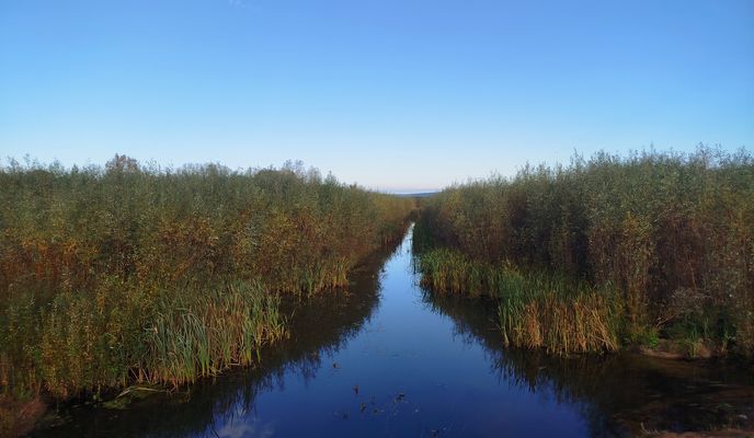 Foto 1 del percorso Bikemap "Расслабленный маршрут"