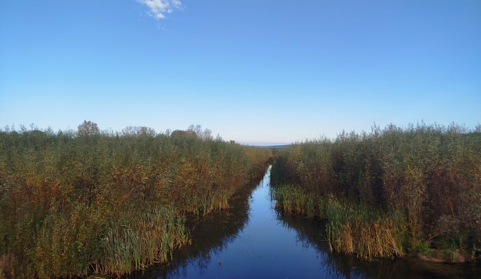 Foto 2 del percorso Bikemap "Расслабленный маршрут"