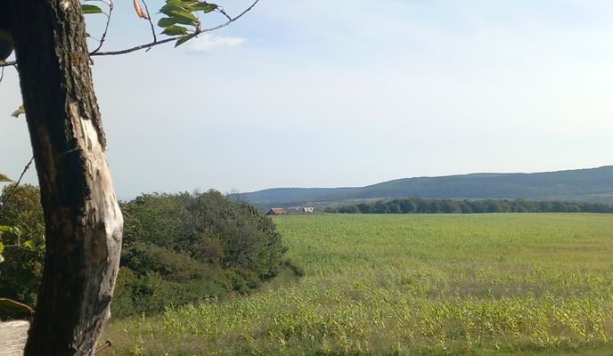 Photo 2 de l’itinéraire Bikemap « Sălicea »