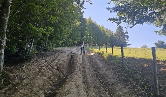 Zdjęcie 1 trasy Bikemap „Cade copacul- Intorsura”