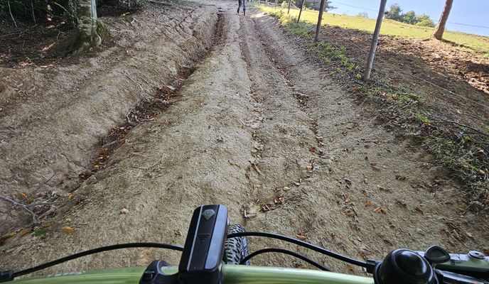 Zdjęcie 2 trasy Bikemap „Cade copacul- Intorsura”