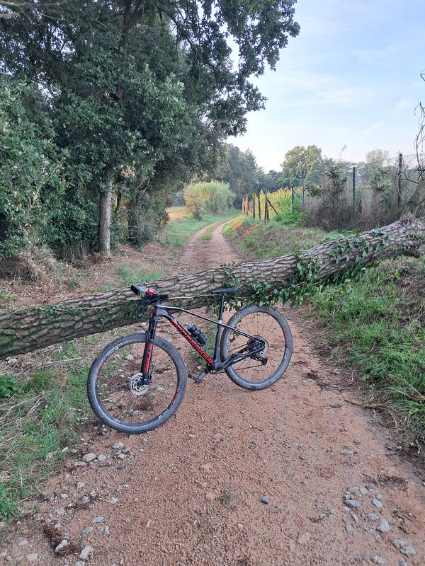 Carrer Lleó I to Carrer Fonollerons