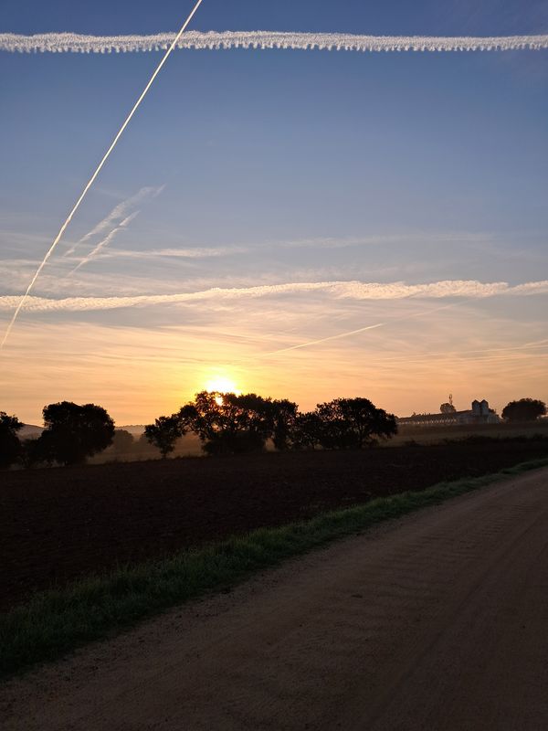 Carrer Lleó I to Carrer Fonollerons