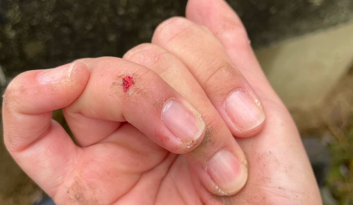 Photo 2 de l’itinéraire Bikemap « Yerres a Yerres »