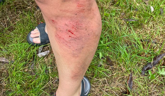 Photo 1 de l’itinéraire Bikemap « Yerres a Yerres »