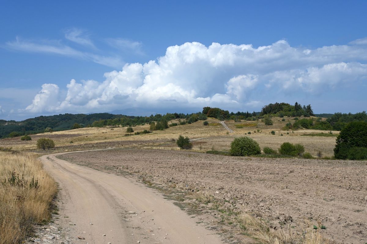 с. Плана - обиколен около долината на р. Планщица