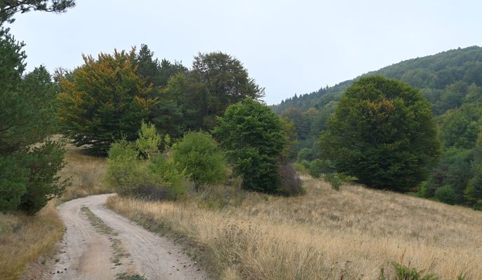 Photo 2 de l’itinéraire Bikemap « с. Плана - обиколен около долината на р. Планщица »
