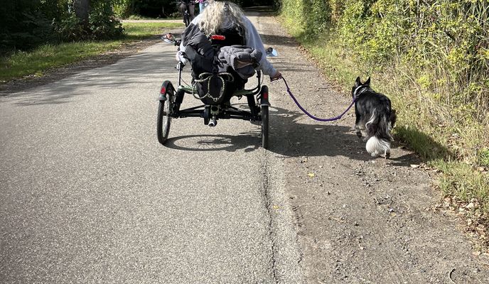 Foto 1 de la ruta de Bikemap "Polredijk, Veere nach Dorpsdijk, Vrouwenpolder"