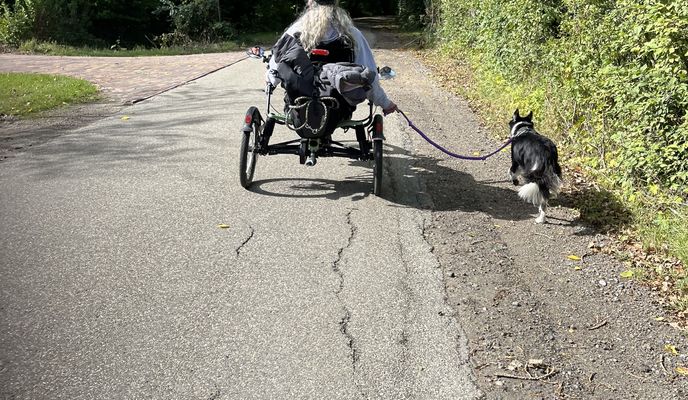 Foto 2 de la ruta de Bikemap "Polredijk, Veere nach Dorpsdijk, Vrouwenpolder"