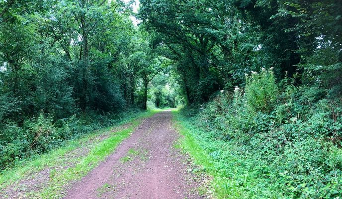 Photo 1 of the Bikemap route "La Haye - Saint-Sauveur-le-Vicomte"