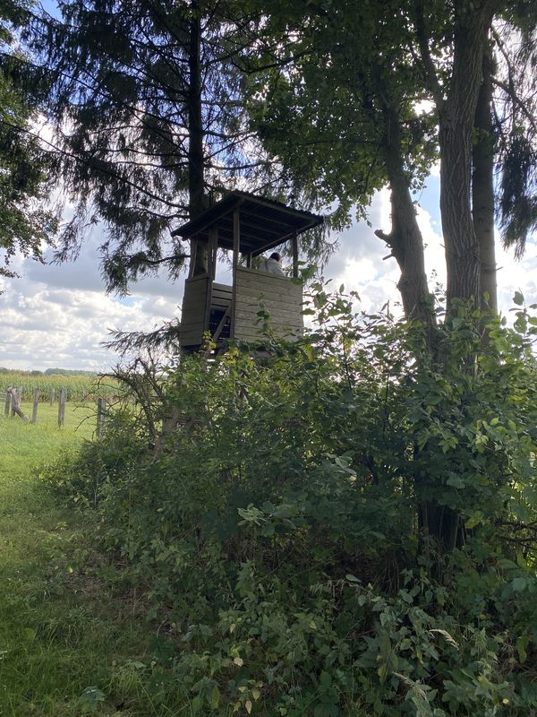 Engelmannsbäke, Visbek nach Engelmannsbäke, Visbek