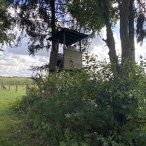 Engelmannsbäke, Visbek nach Engelmannsbäke, Visbek