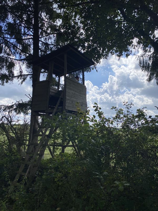 Engelmannsbäke, Visbek nach Engelmannsbäke, Visbek