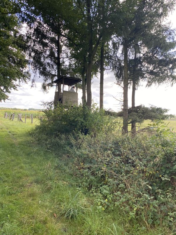 Engelmannsbäke, Visbek nach Engelmannsbäke, Visbek