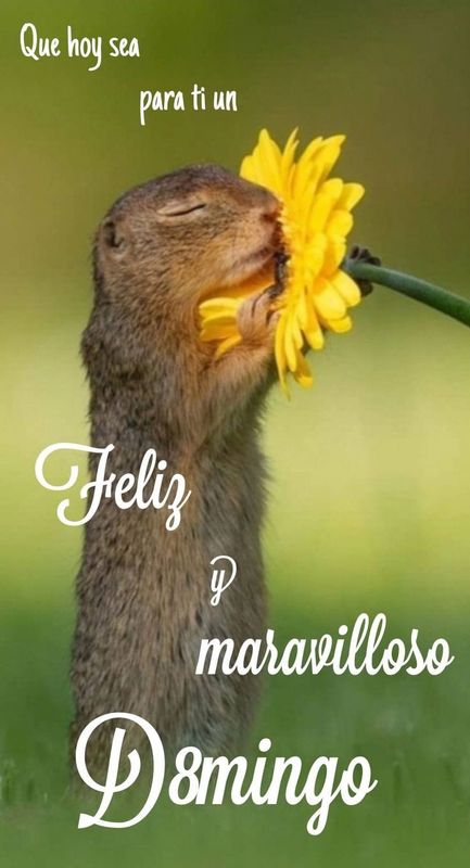 Ruta desde Volcán Ollagüe 1er descanso