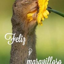 Ruta desde Volcán Ollagüe 1er descanso