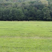 katastrofa bez reťaze