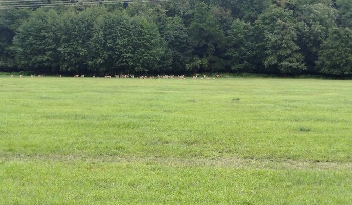 Zdjęcie 1 trasy Bikemap „katastrofa bez reťaze”