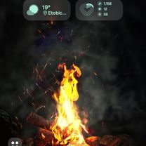 Lake Shore Boulevard West to Stanfield Road