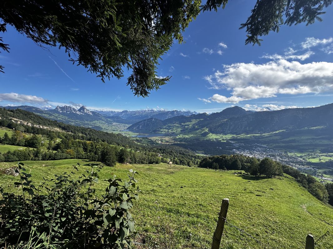 Arth nach Spitzibüelstrasse, Goldau