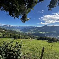 Arth nach Spitzibüelstrasse, Goldau