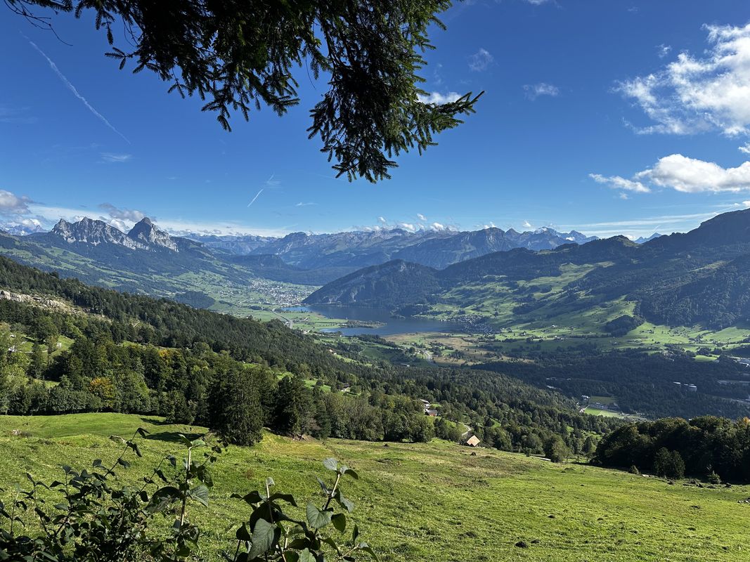 Arth nach Spitzibüelstrasse, Goldau