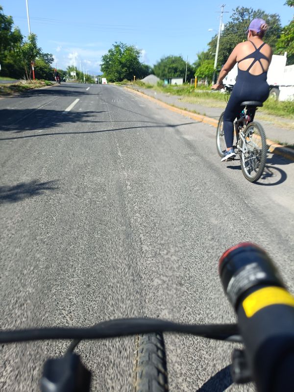 De José López Portillo a Jorge Tamayo