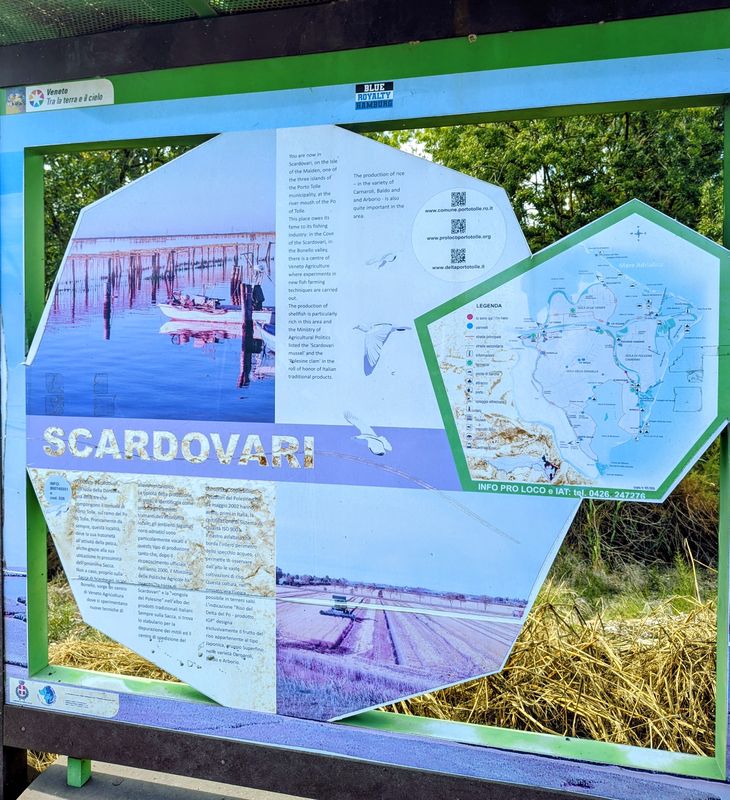 Anello della Donzella