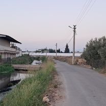 Foto 7 del percorso Bikemap "Altınova"
