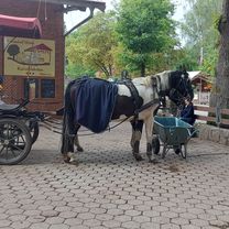 Meninger Weg nach Meninger Weg