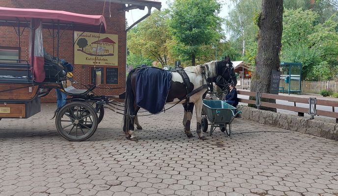 Foto 1 der Bikemap-Route "Meninger Weg nach Meninger Weg"