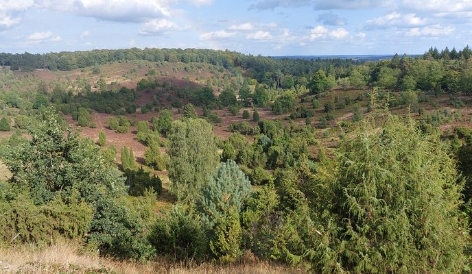 Foto 2 der Bikemap-Route "Meninger Weg nach Meninger Weg"