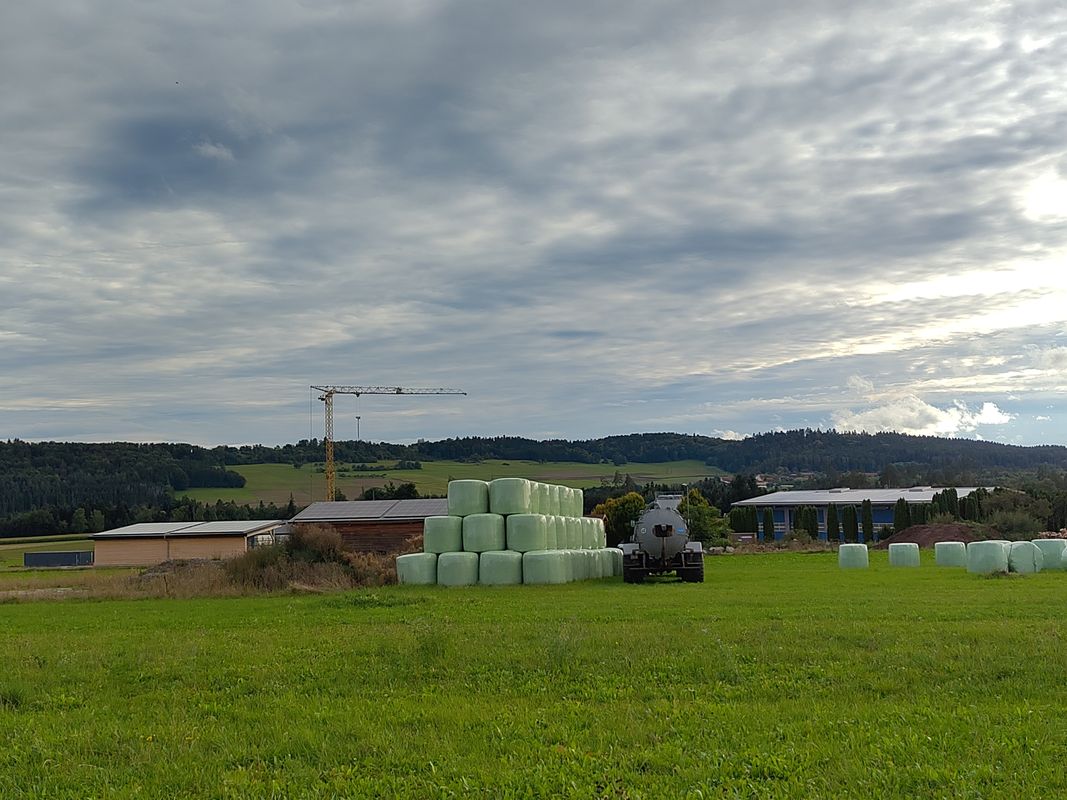 Gemütliche Fahrt