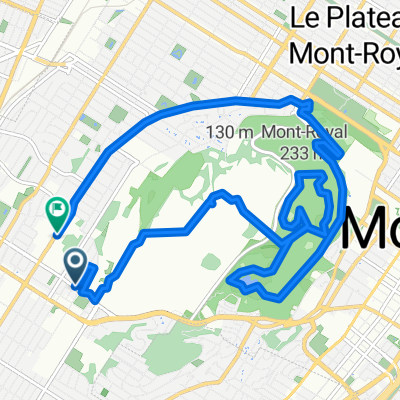 Boul Édouard-Montpetit, Montréal to Ch de la Côte-Sainte-Catherine, Montréal