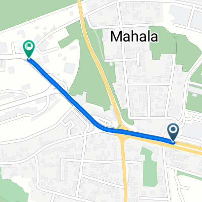 Kralja Petra Prvog Oslobodioca, Brod to Dr Jovana Raškovića, Brod