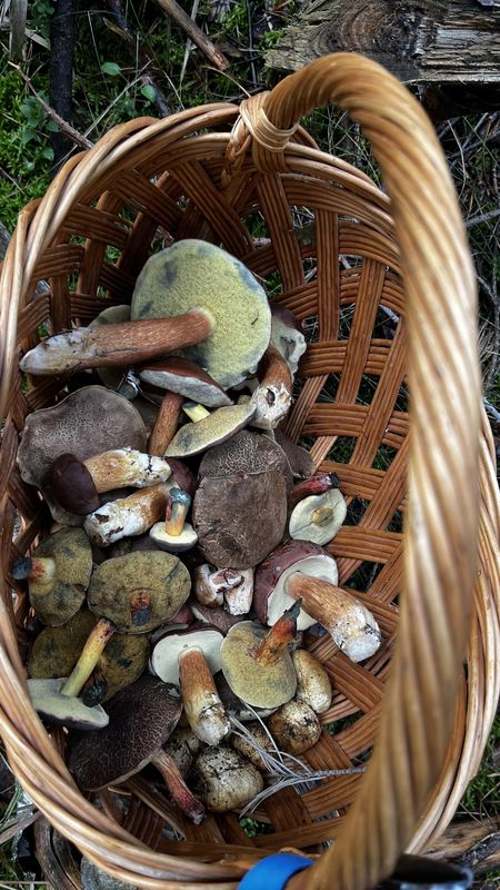 Dukelských hrdinov, Záhorie (vojenský Obvod) až Na majeri, Malacky