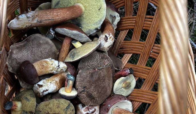 Photo 2 de l’itinéraire Bikemap « Dukelských hrdinov, Záhorie (vojenský Obvod) až Na majeri, Malacky » Photo 2 de l’itinéraire Bikemap « Dukelských hrdinov, Záhorie (vojenský Obvod) až Na majeri, Malacky »