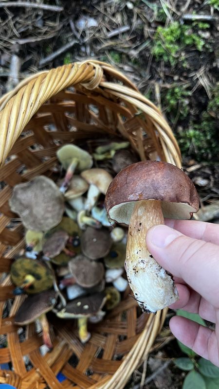 Dukelských hrdinov, Záhorie (vojenský Obvod) až Na majeri, Malacky