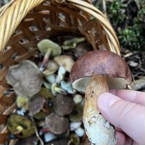 Dukelských hrdinov, Záhorie (vojenský Obvod) až Na majeri, Malacky