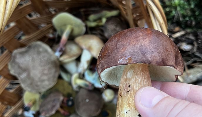 Photo 1 de l’itinéraire Bikemap « Dukelských hrdinov, Záhorie (vojenský Obvod) až Na majeri, Malacky » Photo 1 de l’itinéraire Bikemap « Dukelských hrdinov, Záhorie (vojenský Obvod) až Na majeri, Malacky »