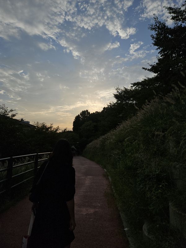 대한민국Ph0]으로 라우팅