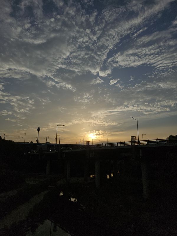 대한민국Ph0]으로 라우팅