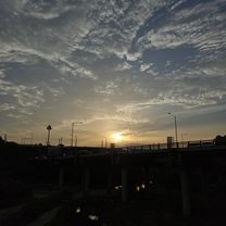 대한민국Ph0]으로 라우팅