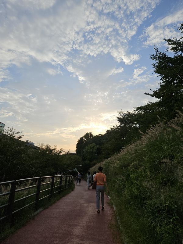 대한민국Ph0]으로 라우팅