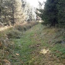 Foto 8 der Bikemap-Route "Cez Zelené údolie."