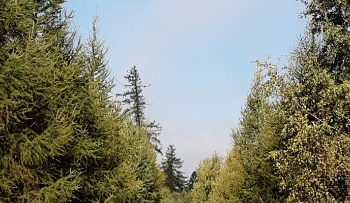 Foto 2 der Bikemap-Route "Cez Zelené údolie."