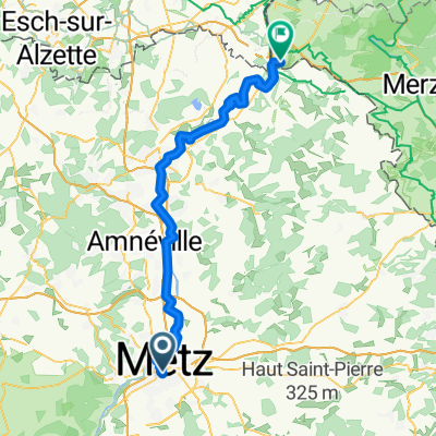 1 Metz-Perl J