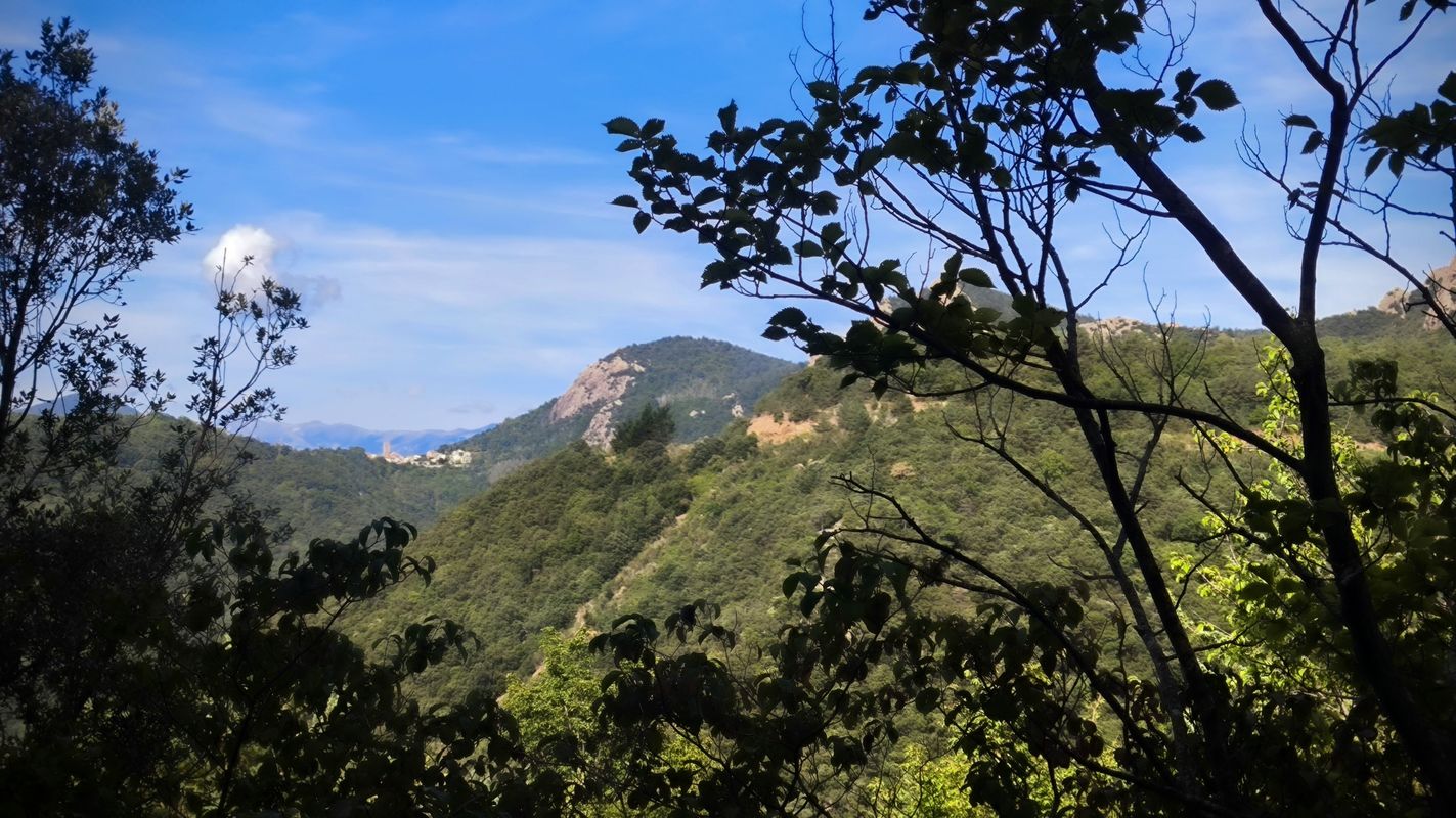 17 66 Maçanet-de-Cabrenys l'Oliveda Gesos Ermita-Sant-Cristofol-dels-Horts Costoja La-Creu-de-Canonge La-Nantilla Noell Perilló